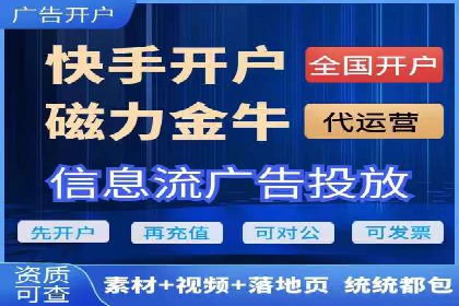 顶级SEM服务公司案例解析